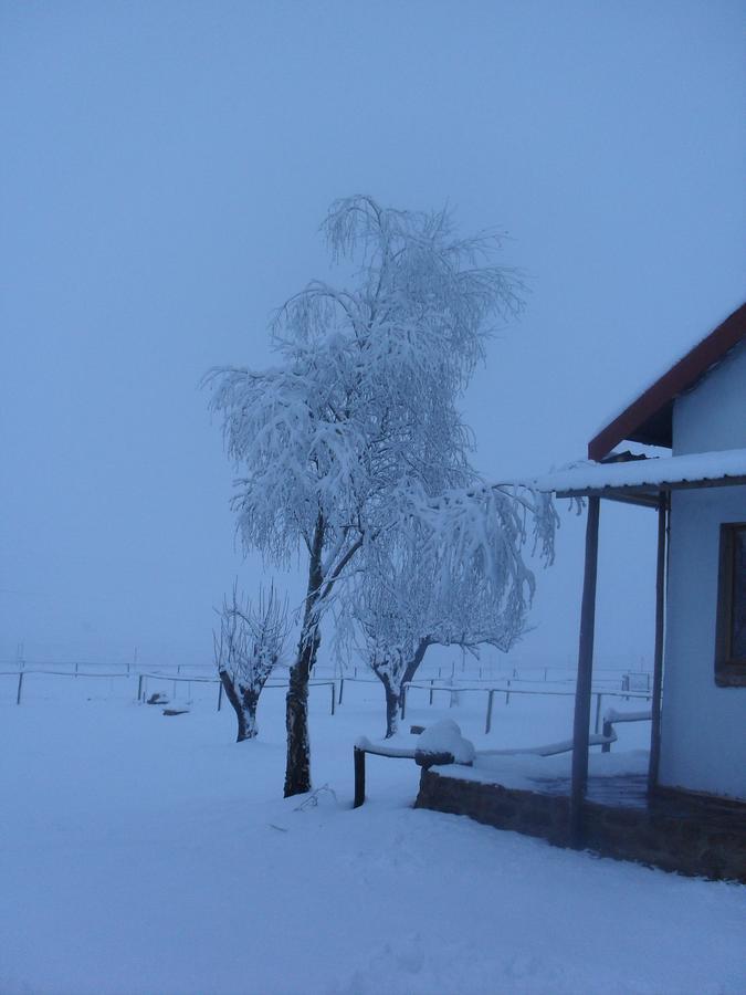 Bed and Breakfast Jen'S Дюлстром Екстер'єр фото